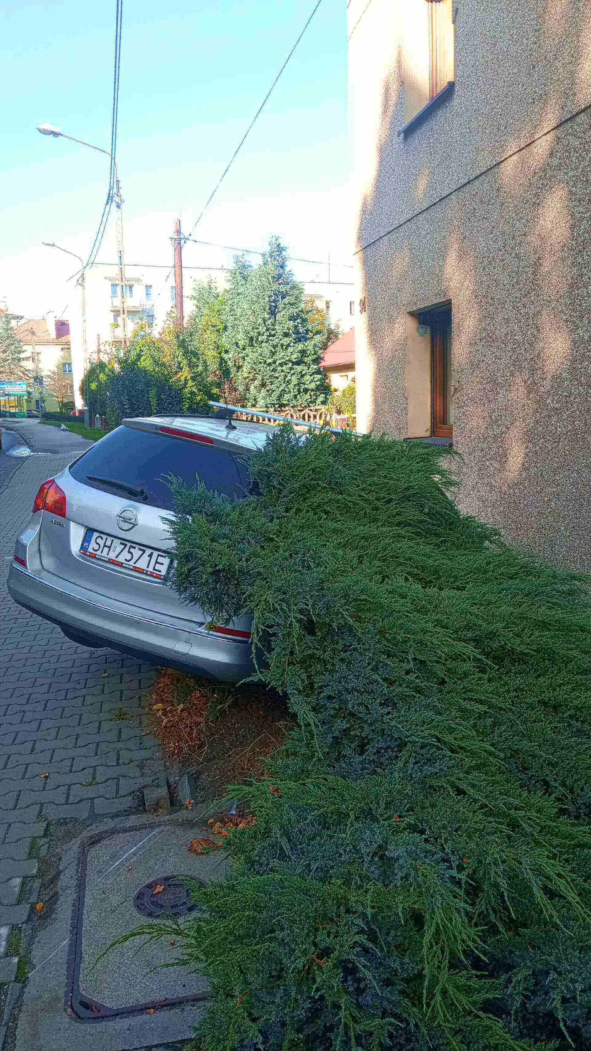 Choć nie wyglądało to dobrze, skończyło się na kolizji