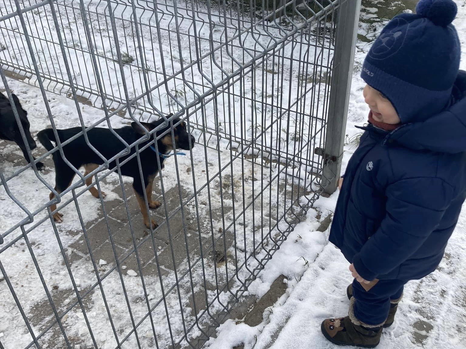 Rudzianie zapraszają do zbiórki na nasze schronisko