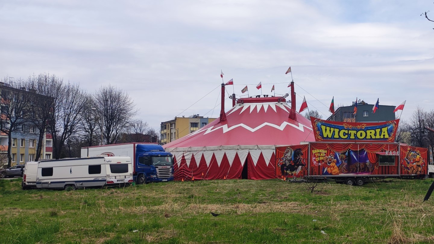 Na placu za Kolistą 7 w Nowym Bytomiu będzie dziś cyrkowo