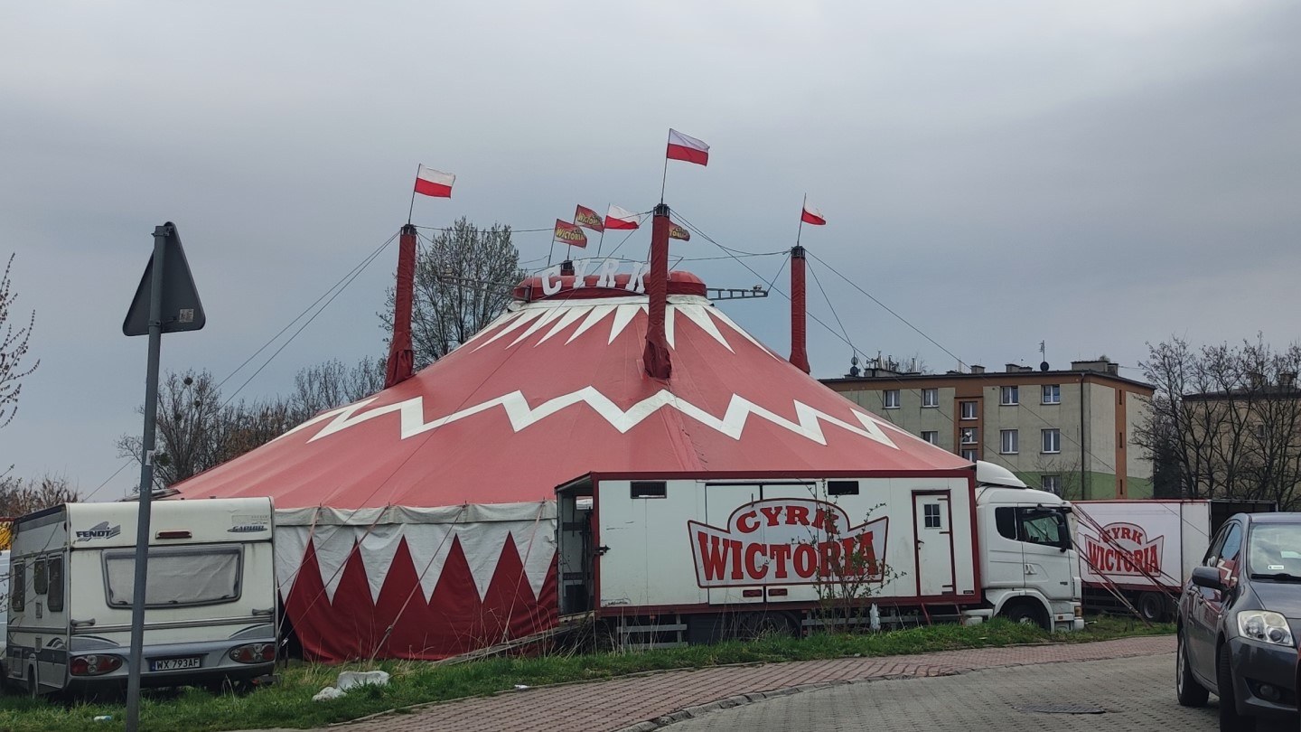 Występ Cyrku Wiktoria - dziś o godzinie 17.00