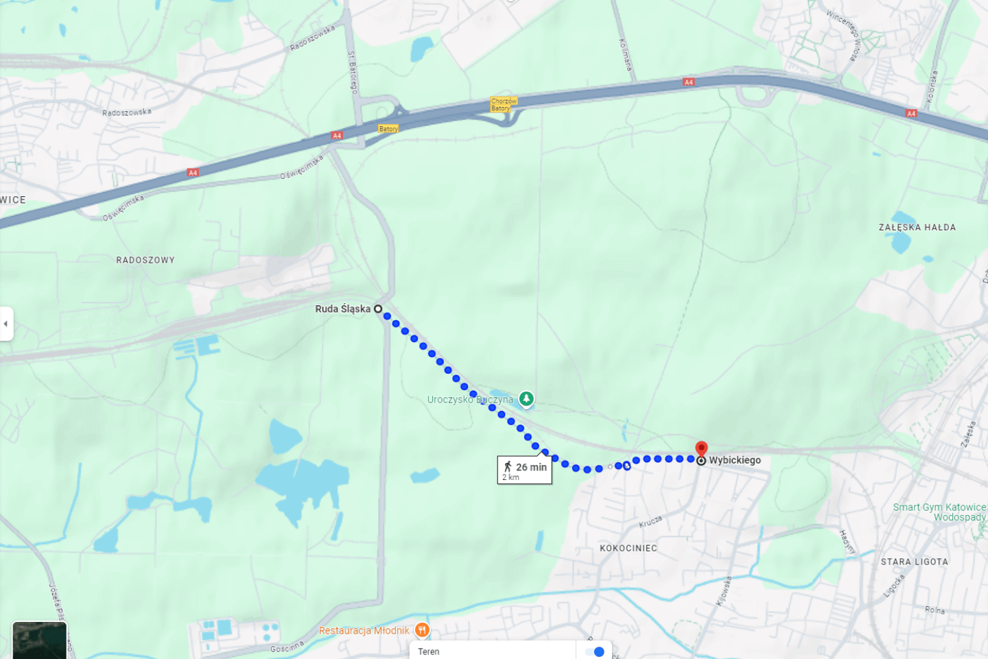 Droga przez las mapa