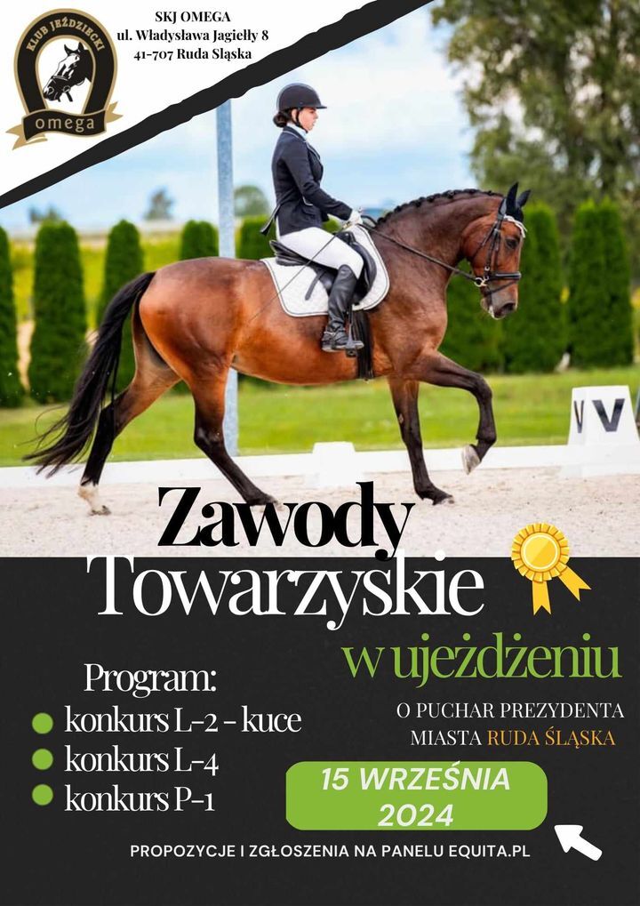 Zawody konne ruda slaska plakat